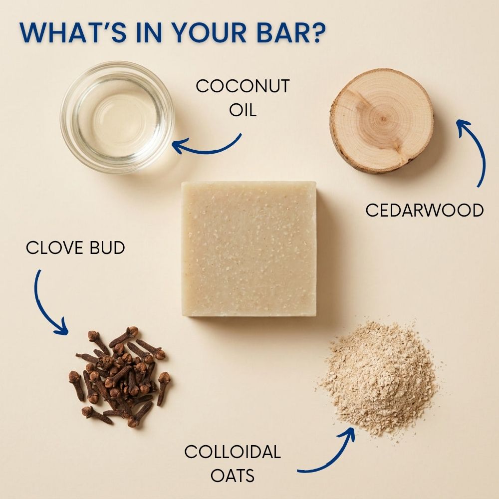 The Woodsman Soap Bar LATHR Made In Canada